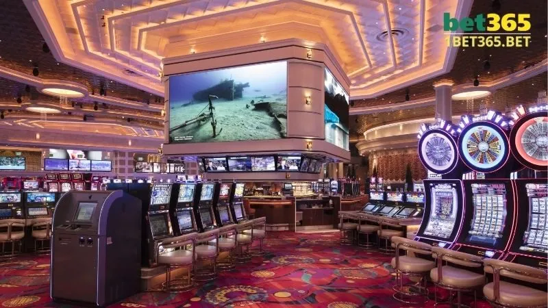 Tại sao nên chọn Bet365 với tính năng cập nhật kèo liên tục?